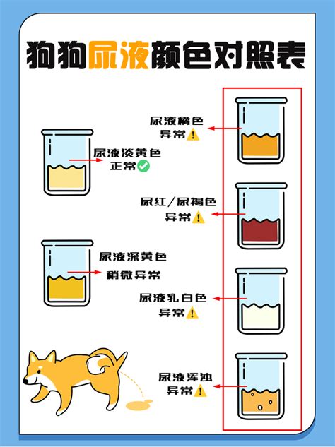 狗 尿 顏色|狗狗尿液颜色速查表